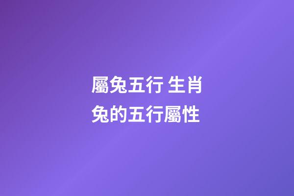 屬兔五行 生肖兔的五行屬性-第1張-觀點(diǎn)-玄機(jī)派